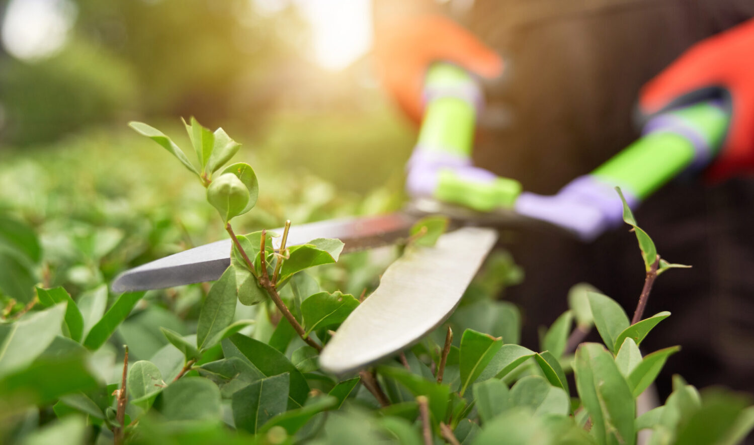Haus- und Gartenservice von E&A